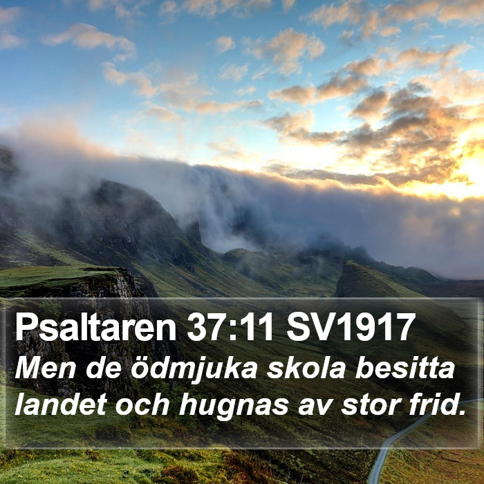 Psaltaren 37:11 SV1917 Bible Study