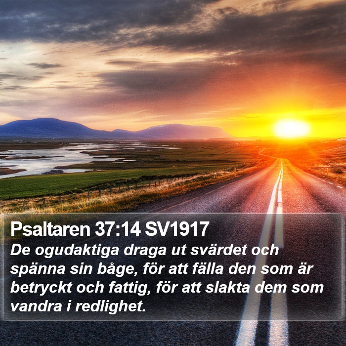 Psaltaren 37:14 SV1917 Bible Study