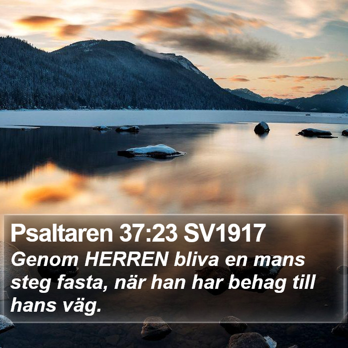 Psaltaren 37:23 SV1917 Bible Study