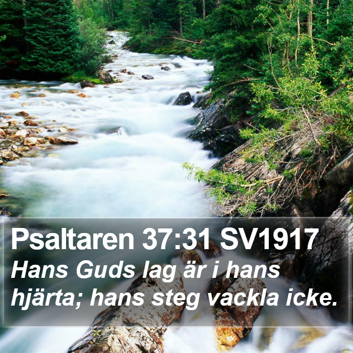 Psaltaren 37:31 SV1917 Bible Study