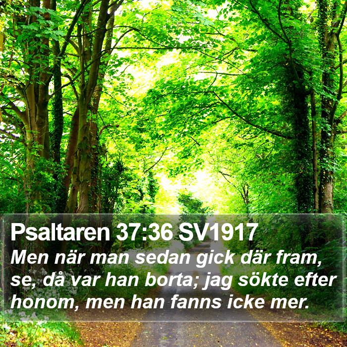 Psaltaren 37:36 SV1917 Bible Study