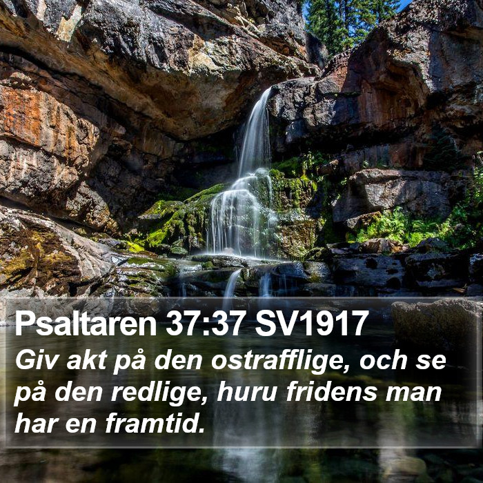 Psaltaren 37:37 SV1917 Bible Study