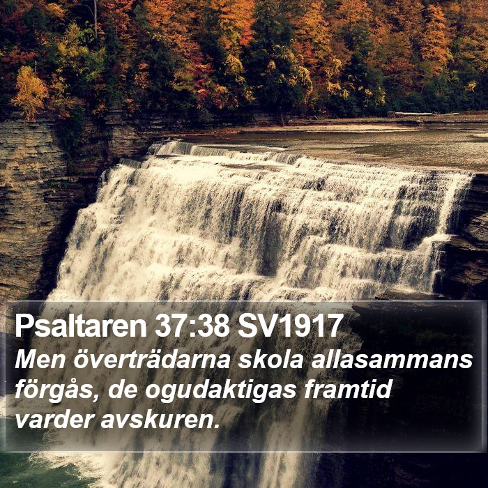 Psaltaren 37:38 SV1917 Bible Study