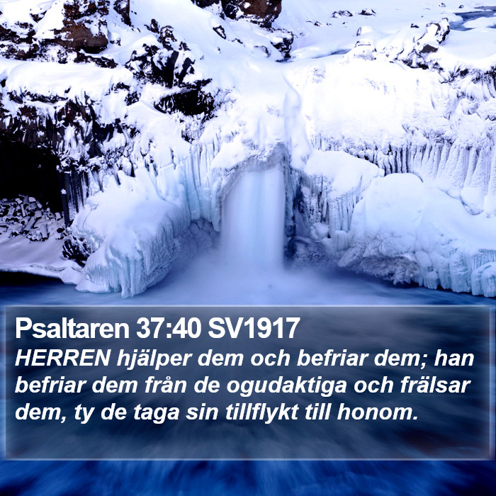 Psaltaren 37:40 SV1917 Bible Study