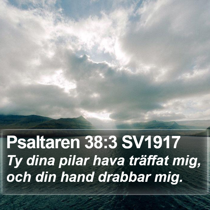 Psaltaren 38:3 SV1917 Bible Study