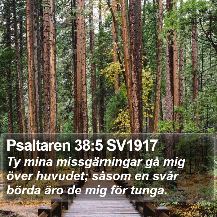 Psaltaren 38:5 SV1917 Bible Study