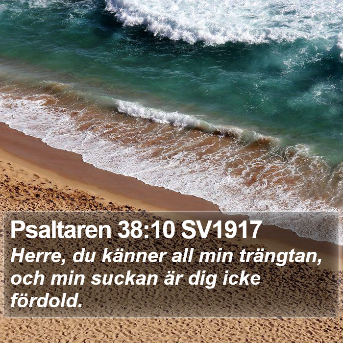 Psaltaren 38:10 SV1917 Bible Study