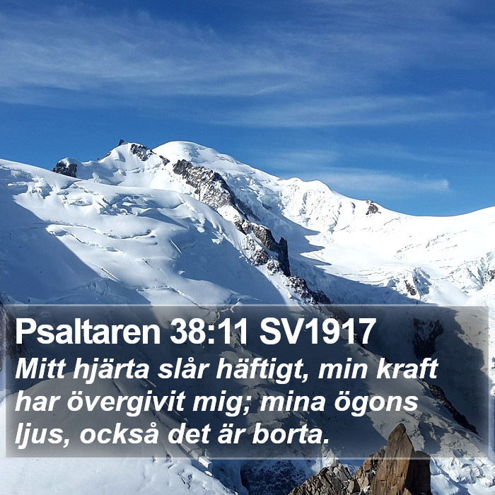 Psaltaren 38:11 SV1917 Bible Study