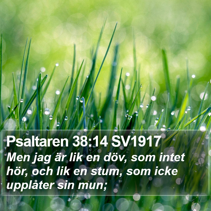 Psaltaren 38:14 SV1917 Bible Study