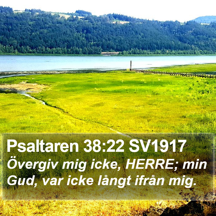 Psaltaren 38:22 SV1917 Bible Study