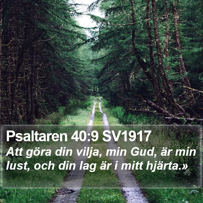 Psaltaren 40:9 SV1917 Bible Study