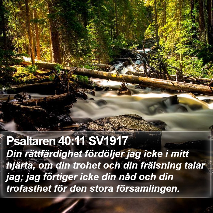 Psaltaren 40:11 SV1917 Bible Study