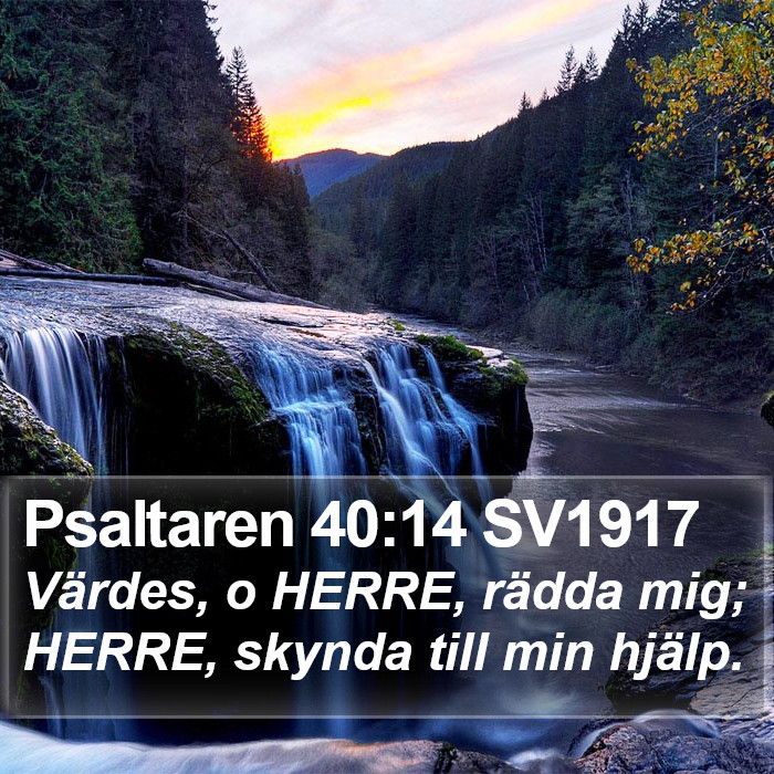 Psaltaren 40:14 SV1917 Bible Study