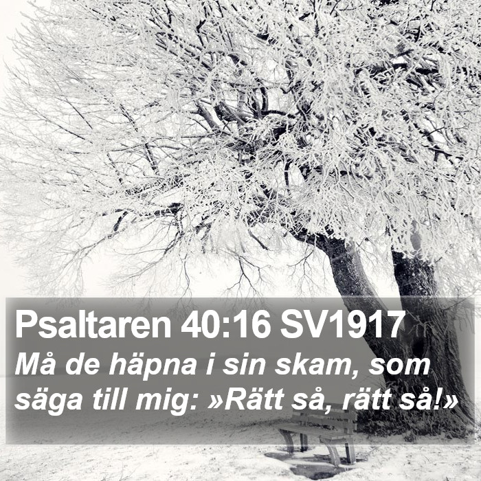 Psaltaren 40:16 SV1917 Bible Study