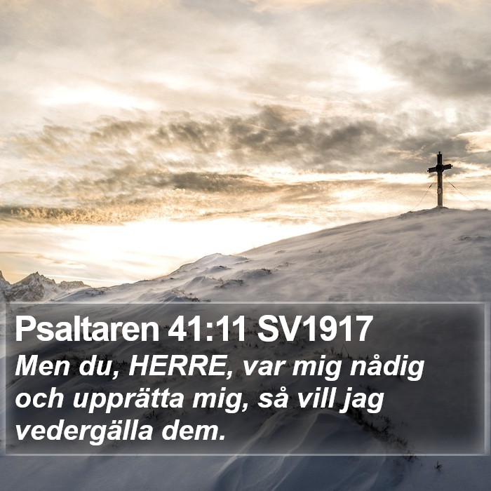 Psaltaren 41:11 SV1917 Bible Study