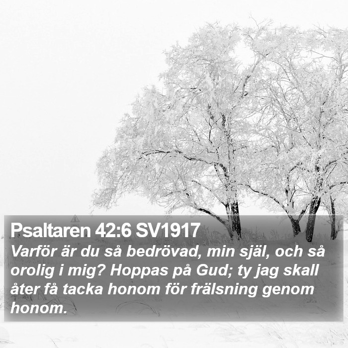 Psaltaren 42:6 SV1917 Bible Study