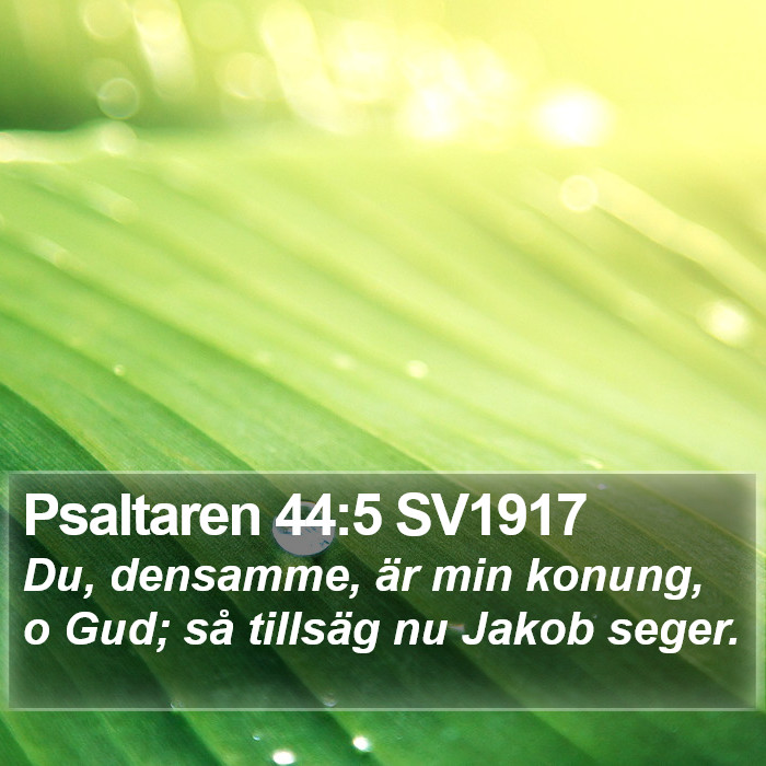 Psaltaren 44:5 SV1917 Bible Study
