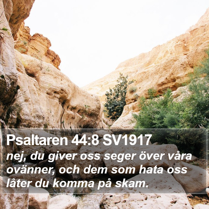 Psaltaren 44:8 SV1917 Bible Study