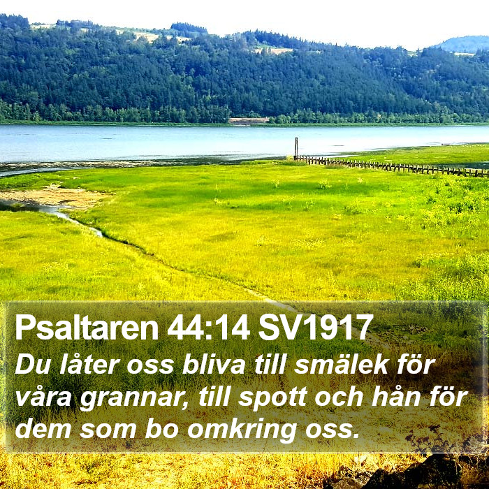 Psaltaren 44:14 SV1917 Bible Study