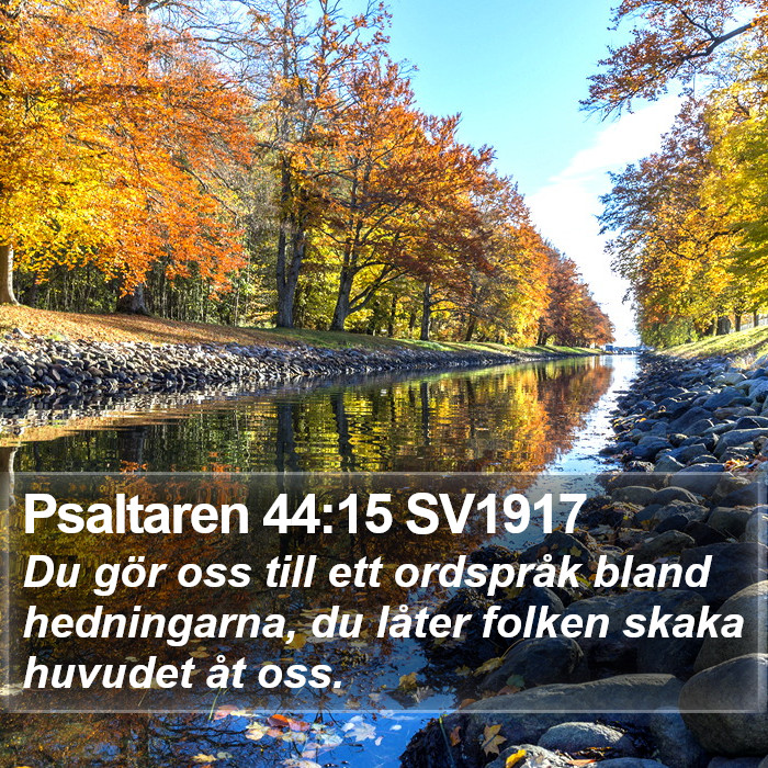 Psaltaren 44:15 SV1917 Bible Study