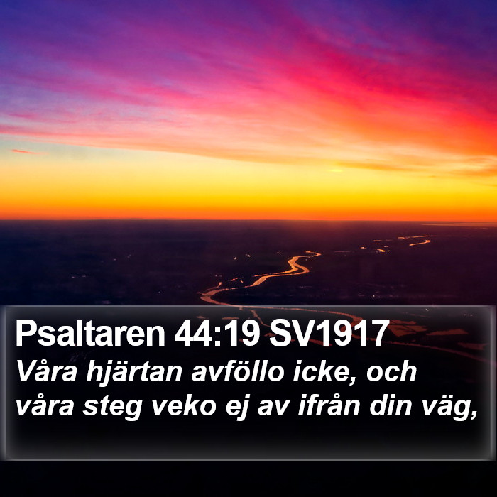Psaltaren 44:19 SV1917 Bible Study
