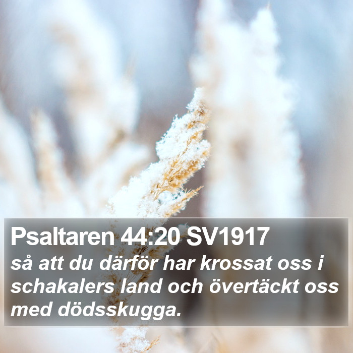 Psaltaren 44:20 SV1917 Bible Study