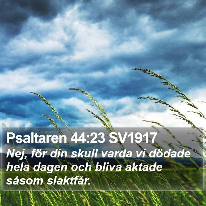 Psaltaren 44:23 SV1917 Bible Study