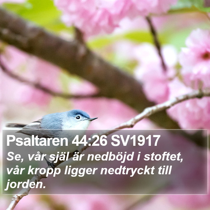 Psaltaren 44:26 SV1917 Bible Study