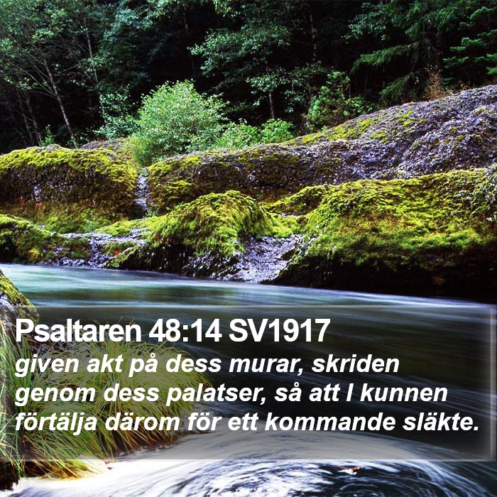 Psaltaren 48:14 SV1917 Bible Study