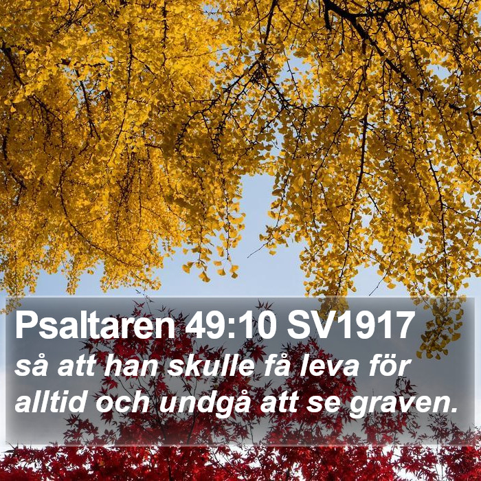 Psaltaren 49:10 SV1917 Bible Study