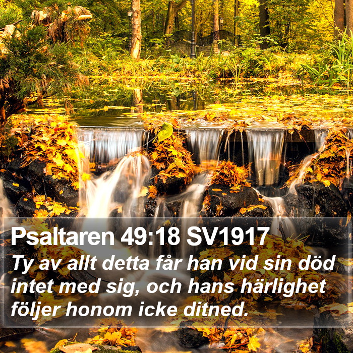 Psaltaren 49:18 SV1917 Bible Study