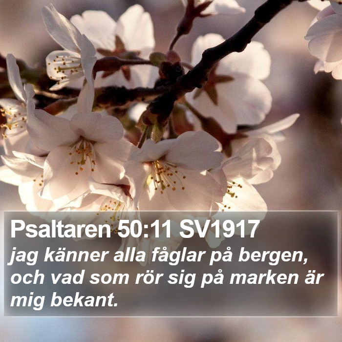 Psaltaren 50:11 SV1917 Bible Study