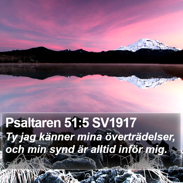 Psaltaren 51:5 SV1917 Bible Study