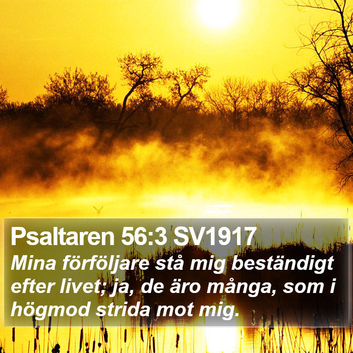 Psaltaren 56:3 SV1917 Bible Study