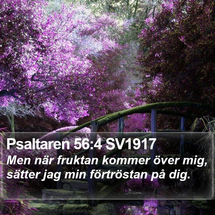 Psaltaren 56:4 SV1917 Bible Study