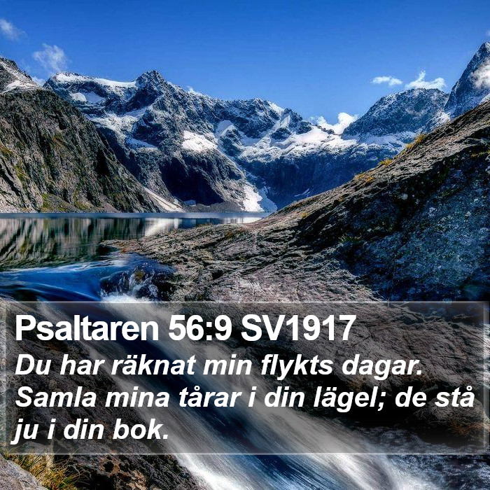 Psaltaren 56:9 SV1917 Bible Study