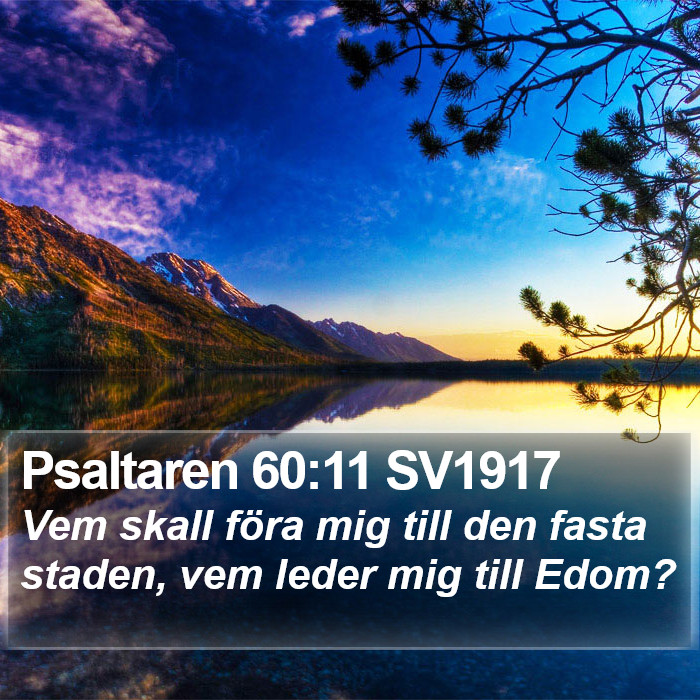 Psaltaren 60:11 SV1917 Bible Study