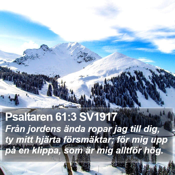 Psaltaren 61:3 SV1917 Bible Study
