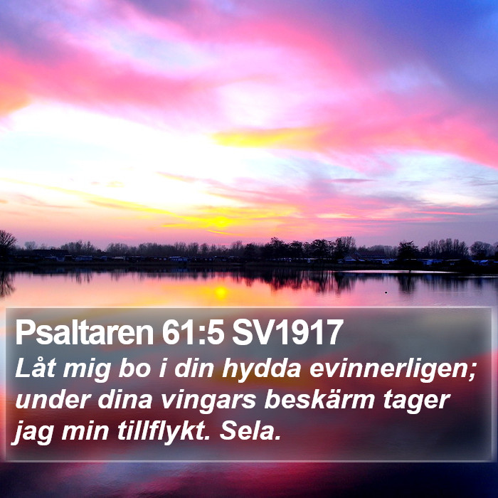 Psaltaren 61:5 SV1917 Bible Study