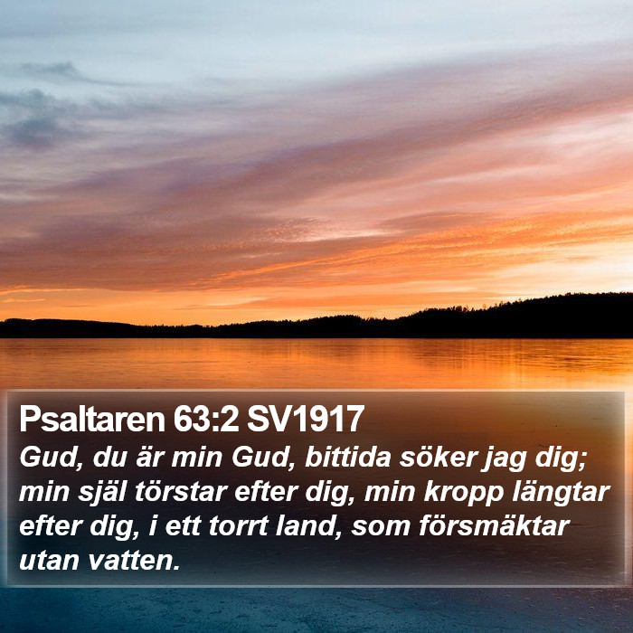 Psaltaren 63:2 SV1917 Bible Study