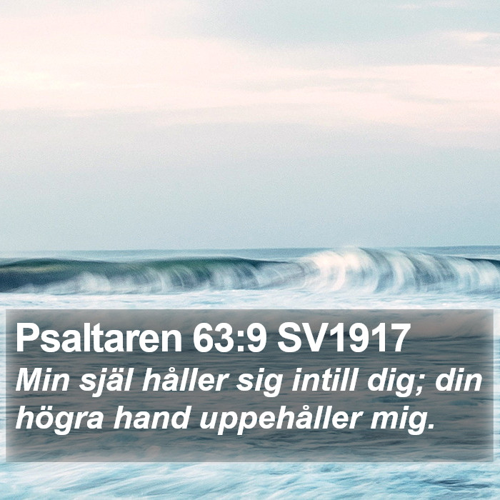 Psaltaren 63:9 SV1917 Bible Study