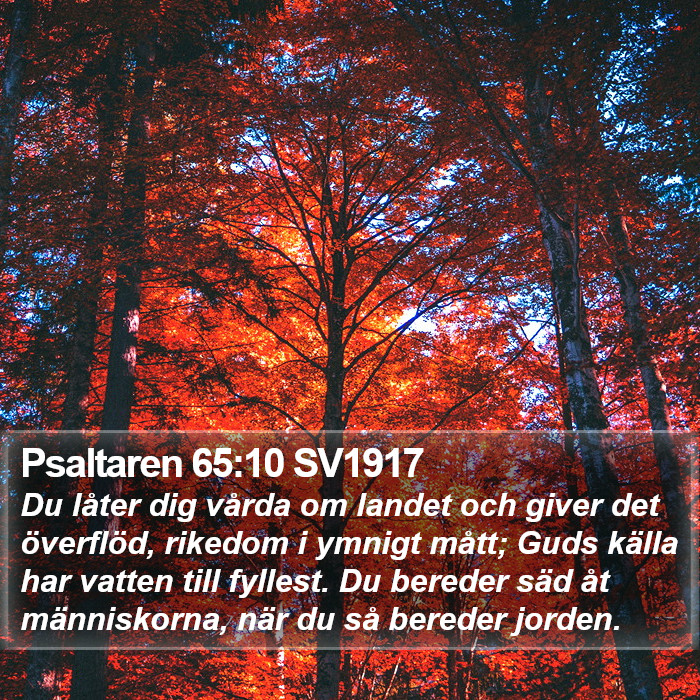 Psaltaren 65:10 SV1917 Bible Study