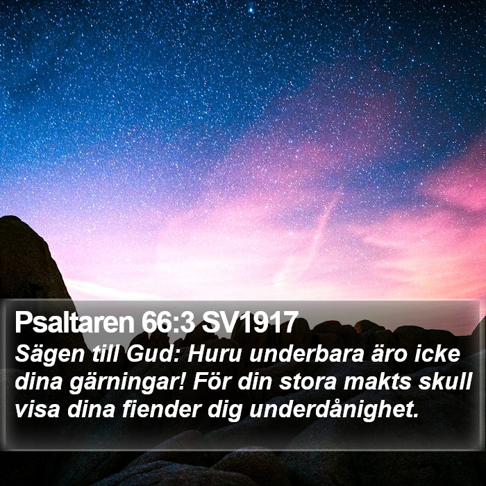 Psaltaren 66:3 SV1917 Bible Study