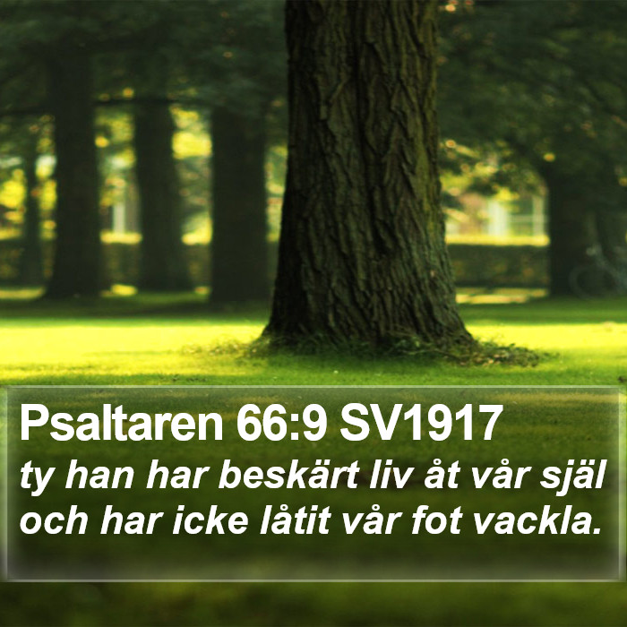 Psaltaren 66:9 SV1917 Bible Study