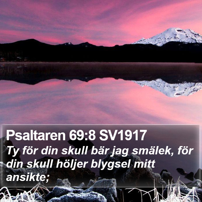 Psaltaren 69:8 SV1917 Bible Study