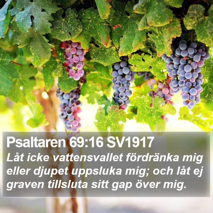 Psaltaren 69:16 SV1917 Bible Study