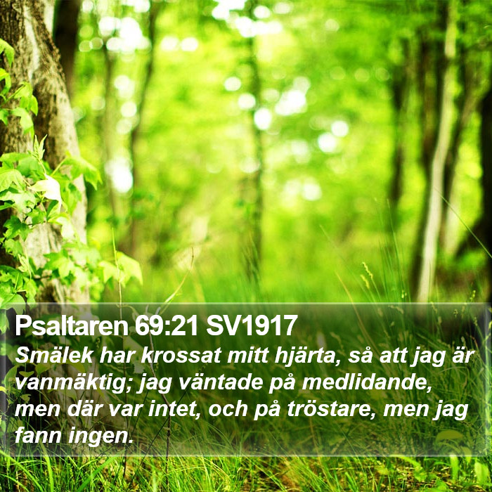 Psaltaren 69:21 SV1917 Bible Study