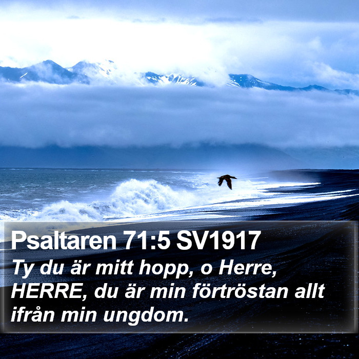 Psaltaren 71:5 SV1917 Bible Study