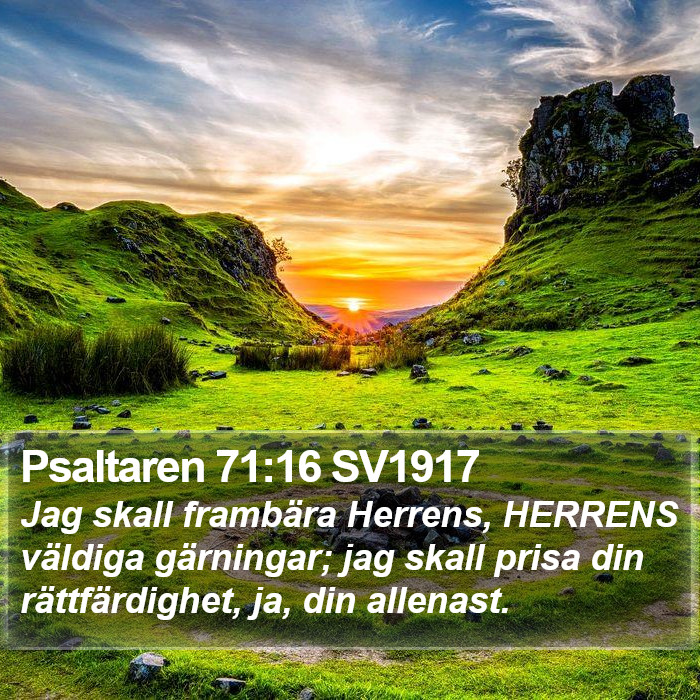 Psaltaren 71:16 SV1917 Bible Study