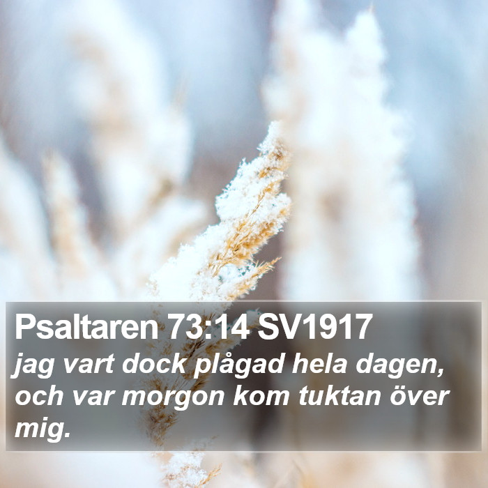 Psaltaren 73:14 SV1917 Bible Study